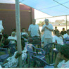 festa50anos_38
