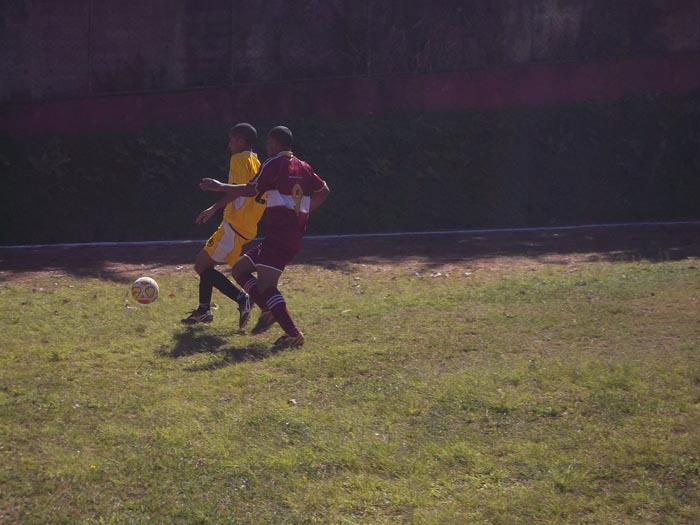 galeria2011_13