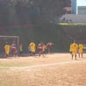 galeria2011_11