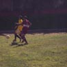 galeria2011_13