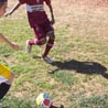 galeria2011_14