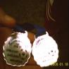 Medalhas